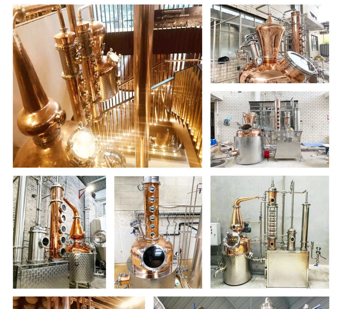 2025032614493303501 2025032614493303501