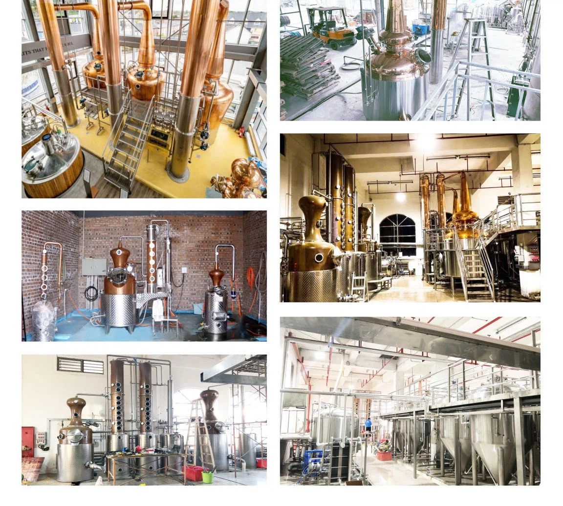 2025032614493303503 2025032614493303503