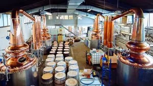 Hd4b85f18b6994cb5ab89519d68b874f8T Hd4b85f18b6994cb5ab89519d68b874f8T